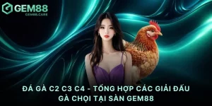 Đá gà C2 C3 C4