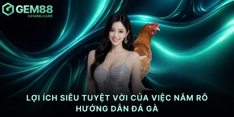 Lợi ích siêu tuyệt vời của việc nắm rõ hướng dẫn đá gà